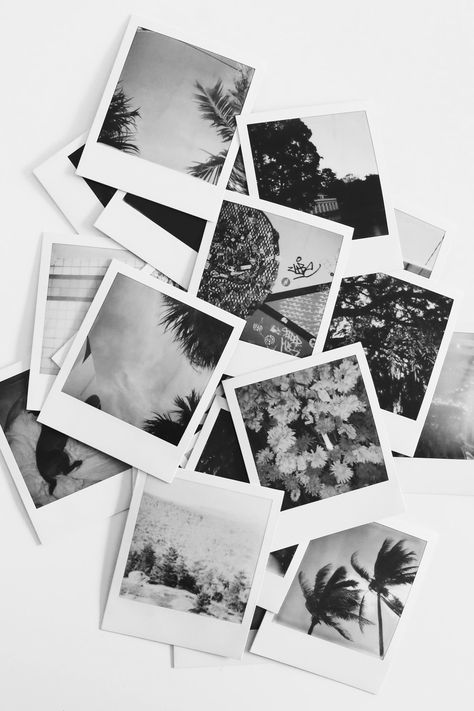 AYSUN🌙 Polaroid Collage Aesthetic, Camera Aesthetic Black And White, Polaroid Pictures Wallpaper, Ploraid Aesthetic, Polaroid Wallpaper Aesthetic, Aesthetic Black And White Pictures, Vintage Polaroid Aesthetic, Polaroid Photos Aesthetic, Polaroid Black And White