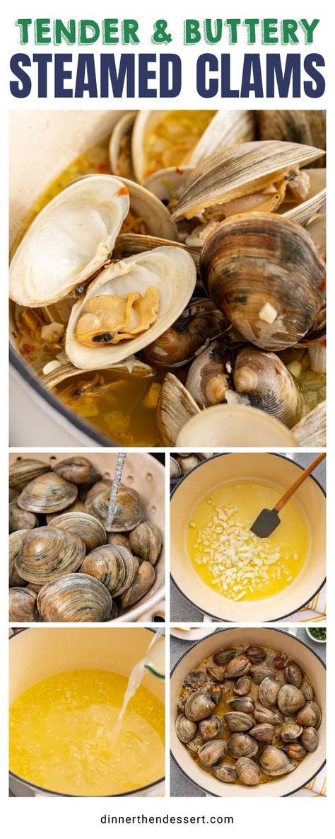 Easy recipe for how to make Steamed Clams that are tender and flavorful! Served in a delicious garlic, lemon, and white wine cooking sauce. Steam Clams, Steamed Clams Recipe, Slow Cooker Appetizers, How To Cook Scallops, Steamed Clams, Clam Sauce, Roasted Cabbage, Dessert Cookbooks, Pot Roast Slow Cooker