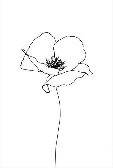 Magnolia Line Drawing Tattoo, Poppie Flower Drawing, Line Art Poppy Flower, Line Work Poppy Tattoo, Poppies Line Art, Poppies Drawing Simple, One Line Poppy Drawing, Minimalist Flowers Drawing, Poppy Fine Line Drawing