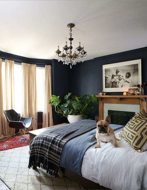 This Dark & Dramatic Master Bedroom Is A Relaxing Respite Dark Bedroom Walls, Dramatic Bedroom, Dark Blue Bedrooms, Feminine Bedroom, Dark Bedroom, Bedroom Decor Cozy, Accent Wall Bedroom, Black Bedroom, Bedroom Black