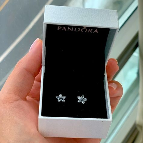 Pandora sterling silver sparkly flower stud earrings!🤍 Flower Earrings Silver, Pandora Flower, Xoxo Jewelry, Antlers Decor, Pandora Earrings, Art Zine, Nose Piercing Jewelry, Silver Flower Earrings, Flower Stud Earrings