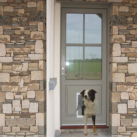 Dog door ideas