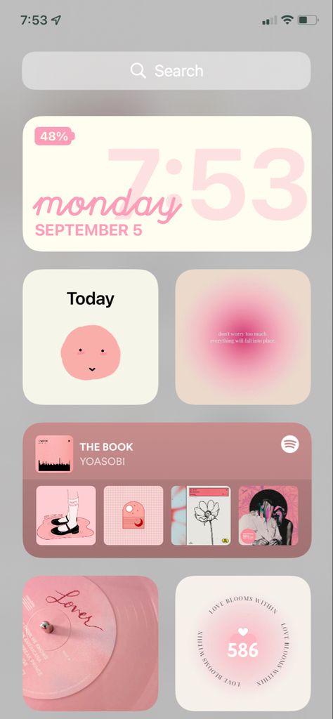 Girly Ios 16 Wallpaper, Simple Pink Ios Homescreen, Lockscreen Aesthetic Layout, To Do List Wallpaper Iphone, Iphone Phone Screen Ideas, Pink Iphone Theme Ideas, Iphone 15 Widget Ideas, Iphone 15 Screen, That Girl Phone Layout