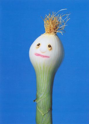 spring onion by Transying, via Flickr Veggie Art, Funny Vegetables, Food Sculpture, Vegetable Carving, Fruit Art, Food Humor, Funky Art, Cute Food, Art Forms