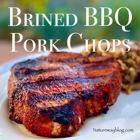 Brine Pork Chops, Pork Chop Brine Recipes, Brine Pork Loin, Barbecue Pork Chops, Pork Chop Brine, Pork Chop Recipes Grilled, Smoked Pork Chops, Grilled Recipes, Marinated Pork Chops