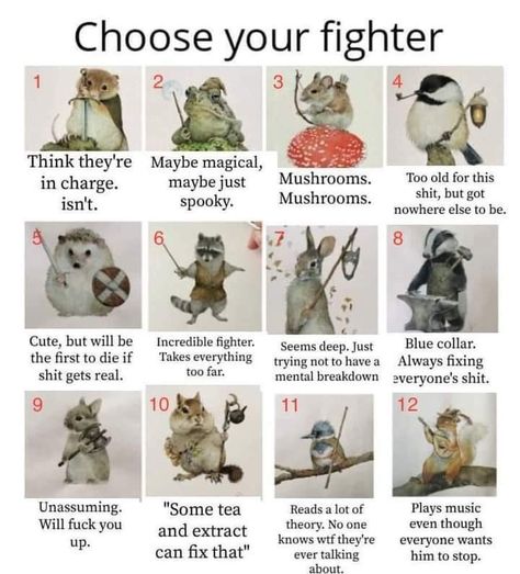 Definitely 4 Choose Your Fighter, Appreciation Post, Funny Animal Memes, Which One Are You, Animal Memes, Tumblr Funny, Dungeons And Dragons, Funny Animals, Funny Pictures