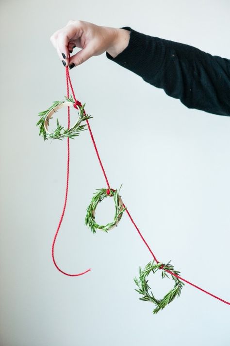 DIY Mini Rosemary Wreath Garland by @cydconverse Rosemary Garland, Rosemary Wreath, Garland Wreath, Wreath Garland, Mini Wreaths, Holiday Garlands, Minimalist Christmas, Wreaths & Garlands, Wrapping Ideas