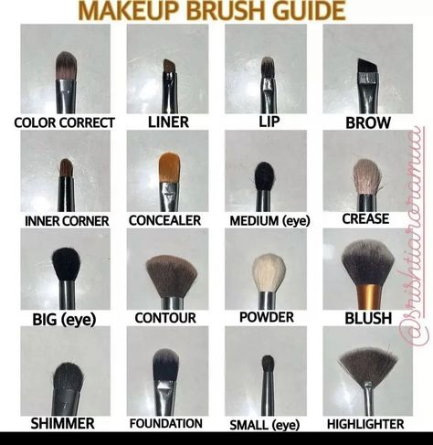 Eyeshadow Brushes Guide, Makeup Brush Guide, Brush Guide, Makeup Brushes Guide, Learn Makeup, Beginners Eye Makeup, Simple Makeup Tips, Makeup For Black Skin, Makeup Help