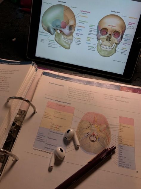 medicine aesthetic Josh Chen Twisted Hate, Josh Chen, College Studying, Twisted Hate, Brain Surgeon, Medical School Life, Dentistry Student, Nursing School Motivation, Medicine Studies