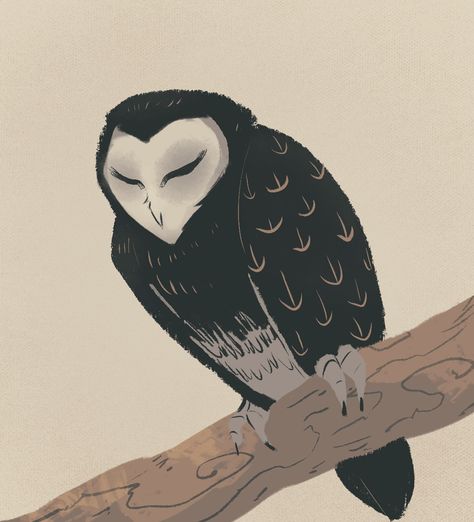 Owl Aesthetic Drawing, Owl Monster Art, Bird Drawings Cute, Bird Art Drawing, Owl Monster, Owl Oc, Crow And Raven, Owl Species, Owl Drawing