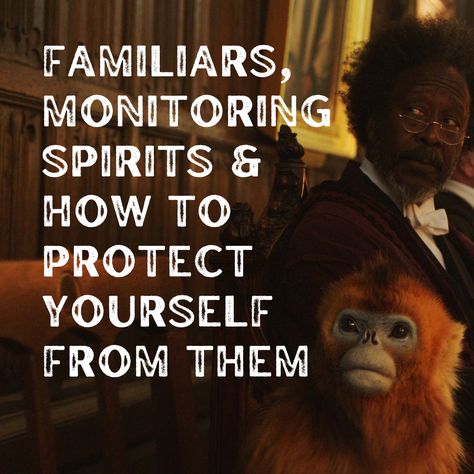 Familiars, Monitoring Spirits & How to Protect Yourself from Them — Desirée M. Mondesir Monitoring Spirits, Voice Note, Spiritual Goddess, Modern Day Witch, God Worship, Break Every Chain, Soul Ties, Spiritual Prayers, Body Of Christ