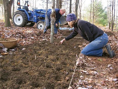 Wild Farms: Woodland Gardening in the 21st Century  | Summer 2010 Sustainable Homestead, Early Explorers, Types Of Herbs, Herb Farm, Forest Canopy, Victory Garden, Permaculture Gardening, Garden Help, Living Off The Land