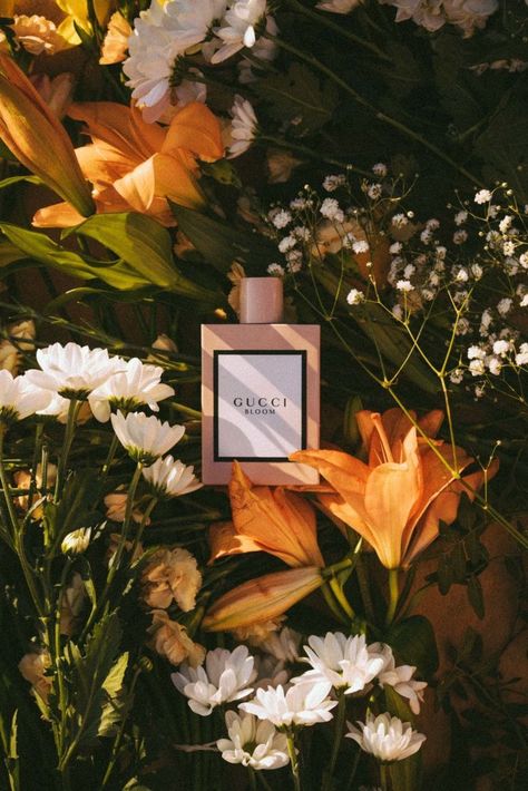 Gucci Bloom photography by Nuria Val #product #photography #productstyling #perfume #fragrance #scent #beauty #floral Parfum Gucci, Gucci Perfume, Gucci Bloom, Creative Advertising Photography, Fragrance Photography, Perfume Photography, Photography Themes, Study Board, Cosmetics Photography