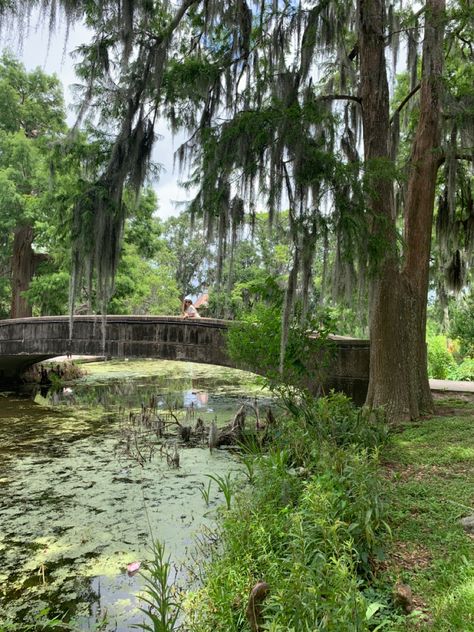 Gorgeous natural scenery in New Orleans city park. New Orleans Garden, Louisiana Summer Aesthetic, New Orleans Things To Do In, Voodoo New Orleans, New Orleans Park, New Orleans Aesthetic, New Orleans Swamp, New Orleans Scenery, New Orleans Trees