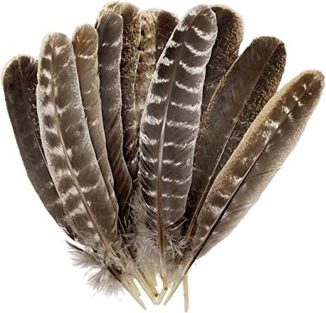 Amazon.com: 5PCS Natural Wild Turkey Feathers Spotted for Craft DIY Headdress Clothing Decoration (Turkey Wing Quill Feather 10-12" 5pcs) : Arts, Crafts & Sewing Wild Turkey Feathers, Decorated Wreaths, Turkey Wings, Wild Turkey, Feather Wings, Pheasant Feathers, Turkey Feathers, Tail Feathers, Wedding Arrangements