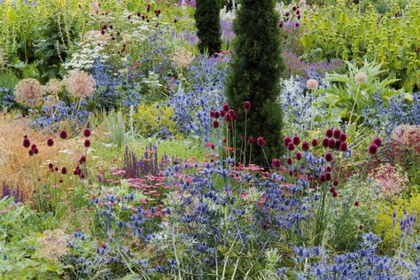 Peach Flowers Garden, Drumstick Allium, Allium Sphaerocephalon, Tom Stuart Smith, Naturalistic Garden, Pastel Garden, Planting Design, Sea Holly, Plants Growing