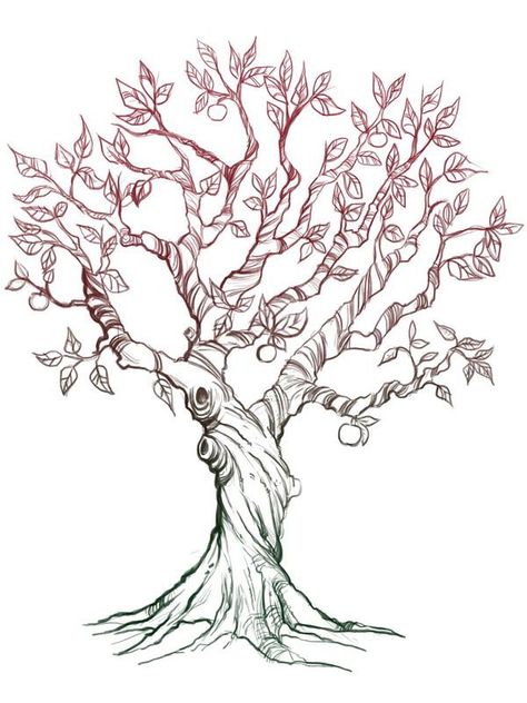 Apple Tree Tattoo, Apple Tree Drawing, Tree Branch Tattoo, Family Tree Tattoo, Branch Tattoo, Tree Tattoo Designs, Tree Sketches, Tree Of Life Tattoo, Tree Images