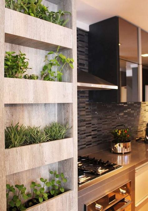 Indoor Herb Garden Idea using the space available in kitchen #smallgardenideas #sgi                                                                                                                                                      More Balcon Mic, Herb Garden In Kitchen, Vertical Herb Garden, Kitchen Herbs, Vertical Gardens, Indoor Herb Garden, Herbs Indoors, Small Gardens, Design Case