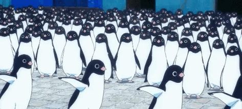 Penguin Highway, Penguins