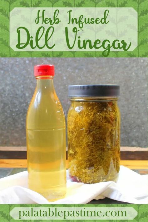 Infused Vinegar Recipes, Dill Pickle Juice Recipe, Recipes With Dill, Dill Vinegar, Pickle Ideas, Boiled Cider, Diy Seasonings, Cucumber Infused Water, Vinegar Recipes