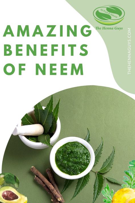 AMAZING BENEFITS OF NEEM Neem Leaf Benefits, Neem Face Pack, Mehndi Design Video, Benefits Of Neem, Neem Leaves, Neem Leaf, Neem Tree, Neem Soap, Neem Powder