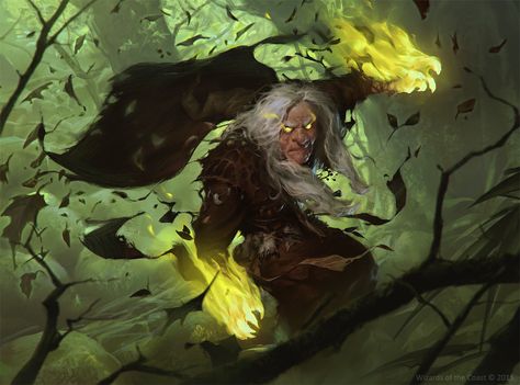 Magic User, Dnd Druid, Mtg Art, Game Illustration, Silver Wings, Arte Fantasy, Magic Art, Wizards Of The Coast, Fantasy Rpg