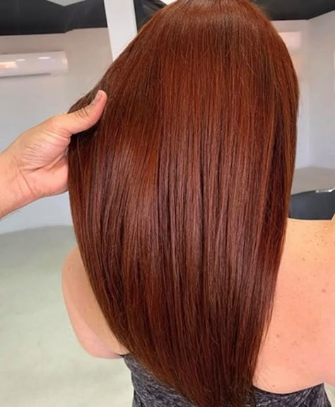 The Absolute Best Brown Hair Colors To Try in Winter 2020 Reddish Copper Hair, Brown Red Copper Hair Color, Redish Brown Hair, Reddish Brown Hair Color, Auburn Red Hair, Hair Colors To Try, Copper Brown Hair, Red Balayage Hair, Copper Red Hair