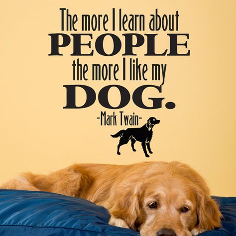 The more I learn about people, the more I like my dog. - Mark Twain Selected from GiftsWithMemories Doggie Quotes, Dog Nook, Mark Twain Quote, Dog Sayings, Boston Terrier Funny, Mark Twain Quotes, Miniature Schnauzer Puppies, I Love My Dog, Grooming Salon