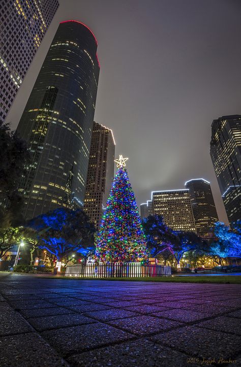 Houston Christmas, Dark Academia Christmas, Downtown Houston Texas, Green Christmas Tree Decorations, Texas Winter, Friendsgiving Decorations, Texas Christmas, Houston City, Christmas World