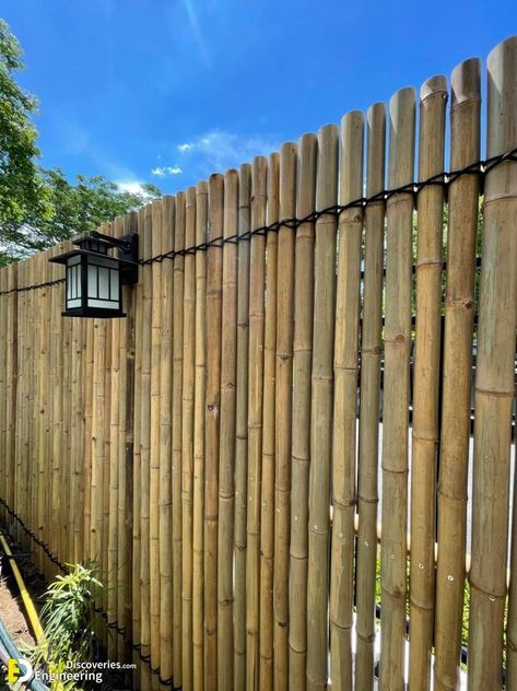 Bamboo Fence Design Ideas, Outdoor Bamboo Wall, Bamboo Pool Fence, Fencing With Bamboo, Bamboo Fence Ideas, Bamboo Roll Fencing, Bamboo Boundary Wall, Bamboo Garden Fences, Bamboo House Design