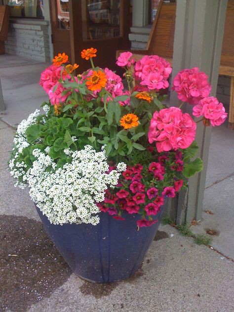 Outdoor Flower Pot Ideas, Art Creative Ideas, Patio Flower Pots, Flower Pot Ideas, Summer Planter, Trailing Flowers, Patio Flowers, Porch Flowers, Container Garden Design