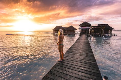 {Azul Paradise // Bocas del Toro, Panama // Over water bungalows, etc.} Villa Images, Taboga Island, Water Bungalow, Spanish Conquistador, Panama Travel, Overwater Bungalows, Helicopter Tour, Marriott Hotels, Travel Outdoors