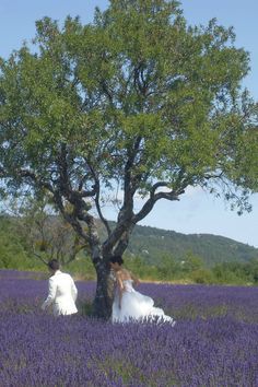 Wedding In Lavender Field, Lavender Field Wedding Ceremony, Lavender Fields Wedding, Wedding Venues Field, Lavender Western Wedding, Wedding In Provence, Wedding Venues France, Lavender Haze Wedding, Provence Wedding Theme