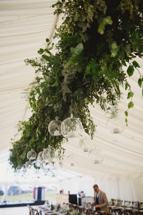 Lush, abundant suspended foliage marquee installation with delicate hanging glass globes Foliage Installation, Hanging Glass Globes, Hanging Foliage, Foliage Wedding, Glass Globes, Marquee Wedding, Event Flowers, South West, Glass Globe