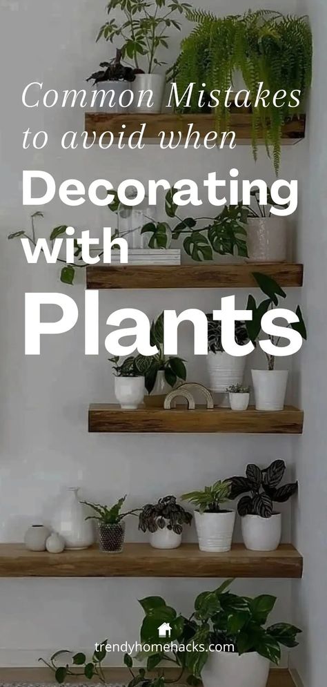 How to Avoid Common Mistakes When Decorating with Plants - How To Use Plants As Decor, How To Decorate With Plants, Styling With Plants, Plant Shelf Ideas, Decorating With Plants, Style Plants, Plant Pests, Macrame Plant Holder, Plant Decor Indoor