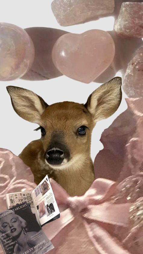 #myfirstshuffle Fawn Wallpaper, Desktop Wallpaper Art, Ios Wallpapers, Winter Wallpaper, Wallpaper Art, Pretty Wallpapers, Connect With People, Your Aesthetic, Creative Energy