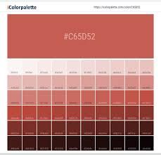 Ibis Paint Color Palette Red, Color Theory Painting, Space Information, Sienna Color, Pantone Color Chart, Flat Color Palette, Rgb Color Codes, Hex Color, Beige Color Palette