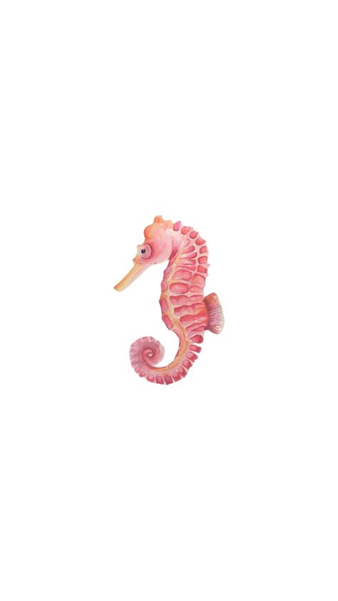 #seahorse #collage #wallpaper #sticker #stickers #inspo #beach #summer #starfish Starfish Drawing, Summer Prints Wallpaper, Beachy Prints, Cute Home Screen Wallpaper, Cute Home Screens, Beach Icon, Pink Wallpaper Girly, Wallpaper Iphone Summer, Flower Collage