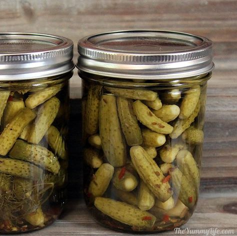 Mini Pickles, Making Dill Pickles, Dill Pickle Recipe, Canning Pickles, Cucumber Dill, Canning Tips, Mini Cucumbers, Small Cucumber, Refrigerator Pickles