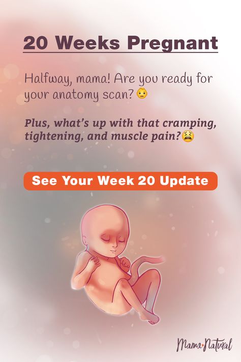 Pregnancy 20 Weeks, 20 Week Pregnancy, 20weeks Pregnant, 20 Week Pregnancy Photos, 21 Weeks Pregnant, 9 Weeks Pregnant, 19 Weeks Pregnant, Baby Development Chart, 16 Weeks Pregnant