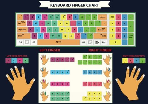 Touch Typing Techniques - Finger Chart Diagram How To Type Faster On A Keyboard, Typing Tips, Computer Lab Posters, Typing Hacks, Touch Typing, Typing Tutorial, Type Faster, Typing Lessons, Learn To Type