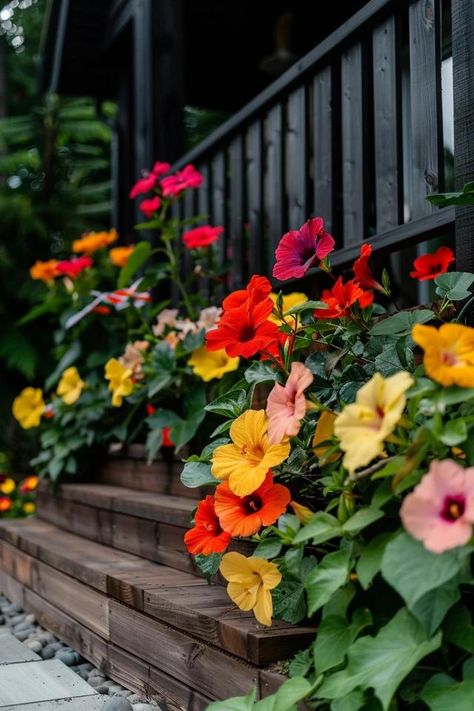 Vibrant Hibiscus Landscaping Ideas for Your Garden Hibiscus Flower Landscaping Ideas, Hibiscus Garden Ideas, Hibiscus Garden Landscaping, Hibiscus Landscaping Ideas, Hibiscus Landscaping, Mailbox Garden, Hibiscus Garden, Ti Plant, Hardy Hibiscus