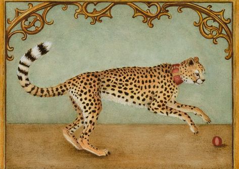 MARQUE TODD Cheetah Painting, Tiger Art, Cheetahs, Interior Photography, Explore Nature, Deep Love, Interior Art, Framed Tv, Ancient Art