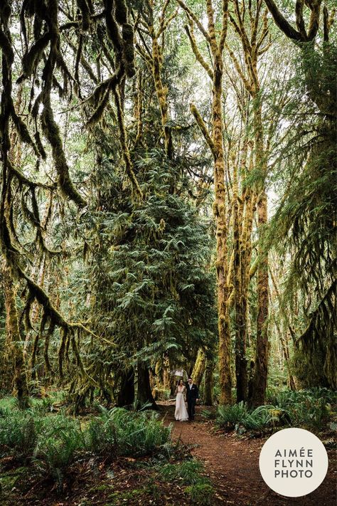 Do you dream of a moody forest elopement or an intimate wedding in the mountains? If so, then an Olympic National Park elopement might just be for you! From old-growth rainforests to rugged beaches to stunning mountain ranges, eloping in Olympic National Park allows you to experience some of the best scenery Washington State has to offer. On the blog I am sharing my top tips, resources, and inspiration to help you plan your very own Olympic National Park wedding. Best Scenery, Outdoorsy Wedding, Moody Forest, Olympic National Forest, Wedding In The Mountains, Forest Elopement, How To Elope, National Park Elopement, Park Elopement