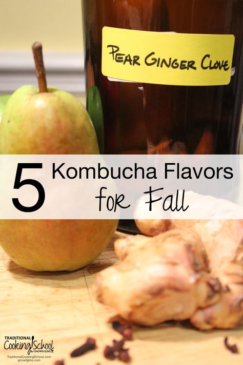 Ginger Kombucha, Fermented Drinks, Kombucha Flavors, Cultured Food, Kombucha Scoby, Crystallized Ginger, How To Brew Kombucha, Kombucha Recipe, Homemade Kombucha