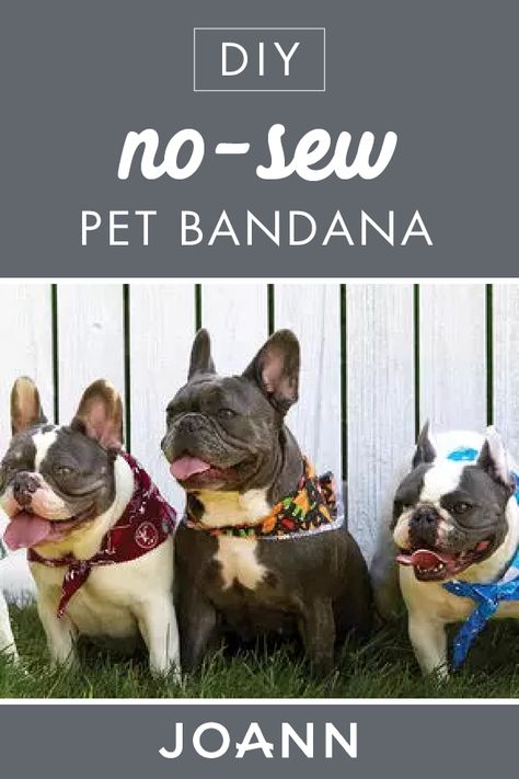 Diy Pet Bandana No Sew, How To Make Dog Bandanas No Sew, Homemade Dog Bandanas, Dog Bandanna Diy, Diy Dog Bandana No Sew, No Sew Dog Bandana, Dog Bandana Tutorial, Bandana Tutorial, Doggie Bandana