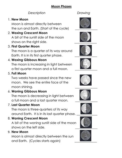 Eclipse Homeschool, Astronomy Printables, Homework Paper, Moon Phases Drawing, Free Science Printables, Science Lessons Elementary, Solar System Activities, Learning Websites For Kids, Science Printables