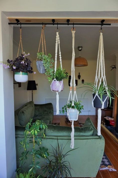 12 IKEA Hacks, tricks and ideas to Keep Your Houseplants Happy. IKEA Hacks for Plants - Pots, Plant Stands, Terrariums. IKEA's $5 shelf bracket can hold more than just shelves. Lisa from the German blog It's Pretty Nice devoted hers to holding plants. There are also easy DIY hacks for bowls, wooden plates and stands, macrame hanging planters, BORBY lanterns, Baskets, Frosta stools (the legs!), and raskog cart. Global Bohemian, Ikea Plants, Oxalis Triangularis, Plants Hanging, Hacks Ikea, Sunroom Ideas, Herbs Garden, Bedroom Stuff, Support Pour Plante