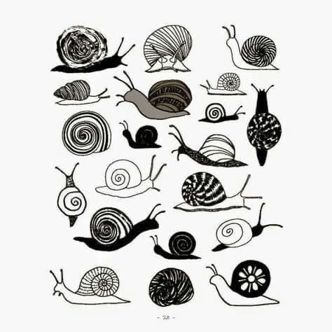 Snail Tattoo, Snail Art, Arte Doodle, 강아지 그림, Soyut Sanat Tabloları, Art Watercolor, 그림 그리기, Linocut, Flower Drawing