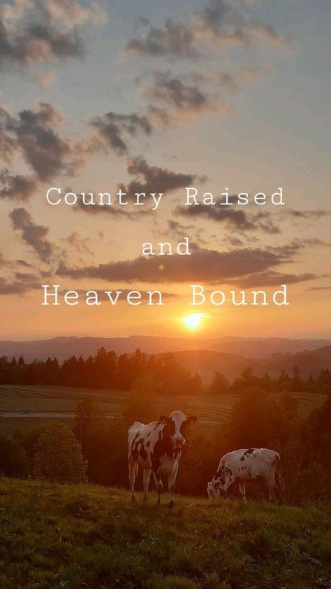 Country Bio Ideas, Country Summer Quotes, My Astethic, Country Brands, Wallpaper Western, Country Core, Country Girl Aesthetic, Girl Wallpapers For Phone, Christian Country